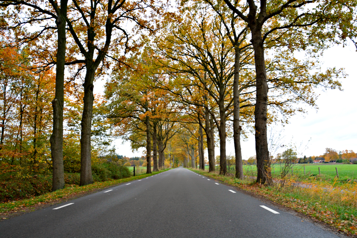 Deventer Mysterie waar dankt 'Driekwartierslaantje' zijn