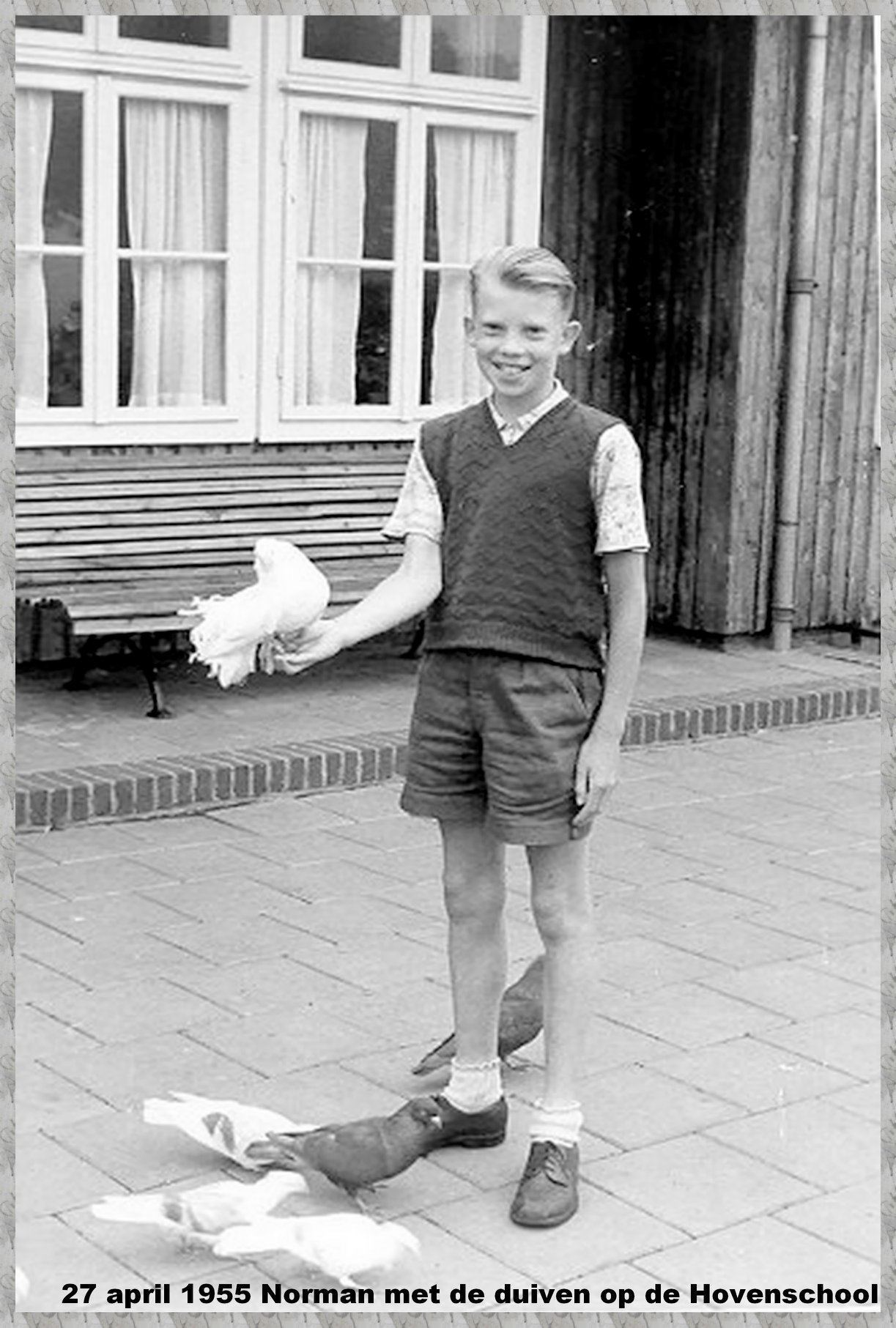 Jongen 1955