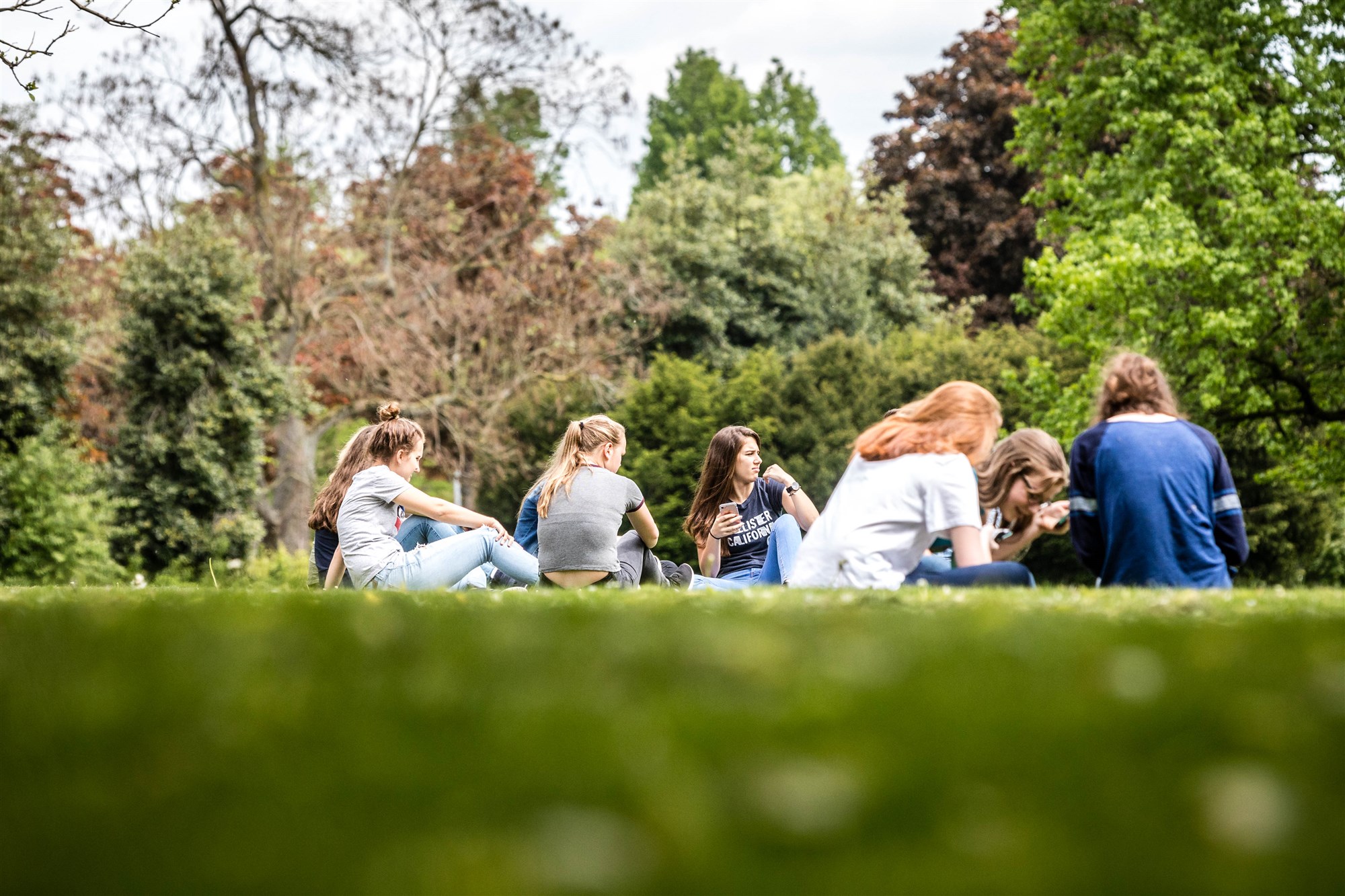 zomer-voorjaar-park