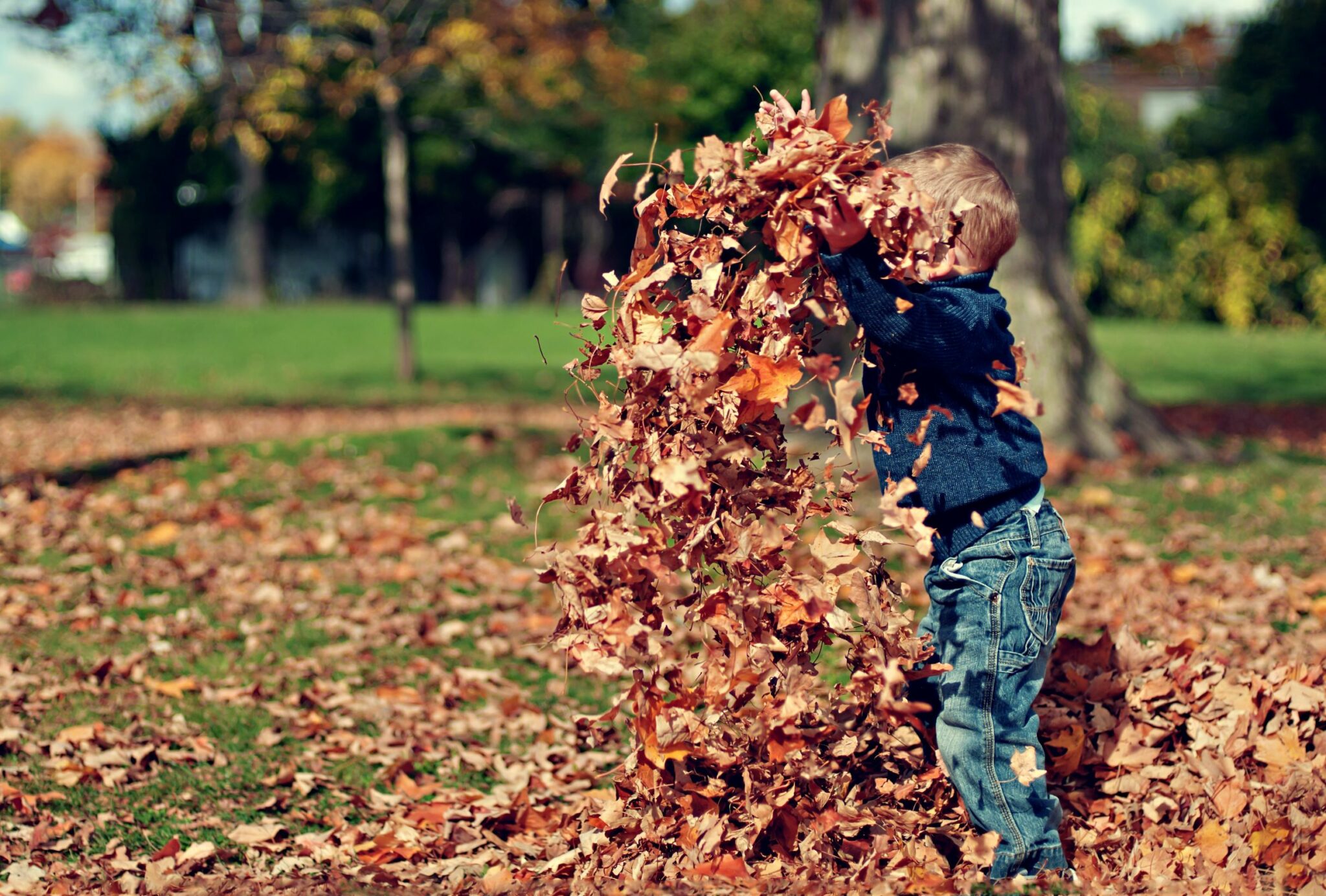Herfstvakantie Deventer