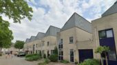 colmschate bloemkoolwijk