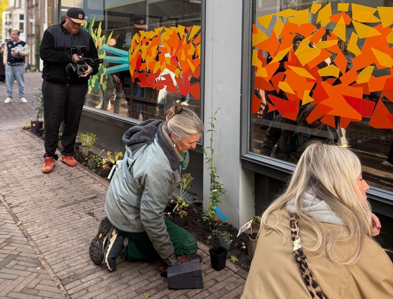 Nieuwe beplanting in de Broederenstraat: ‘Aftrap van groenere binnenstad’