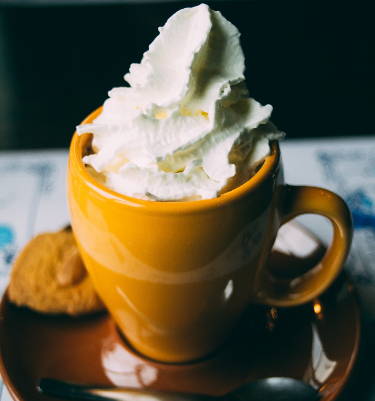 warme-chocolade-melk-met-slagroom-borghuis-doetinchem-herfst-regen