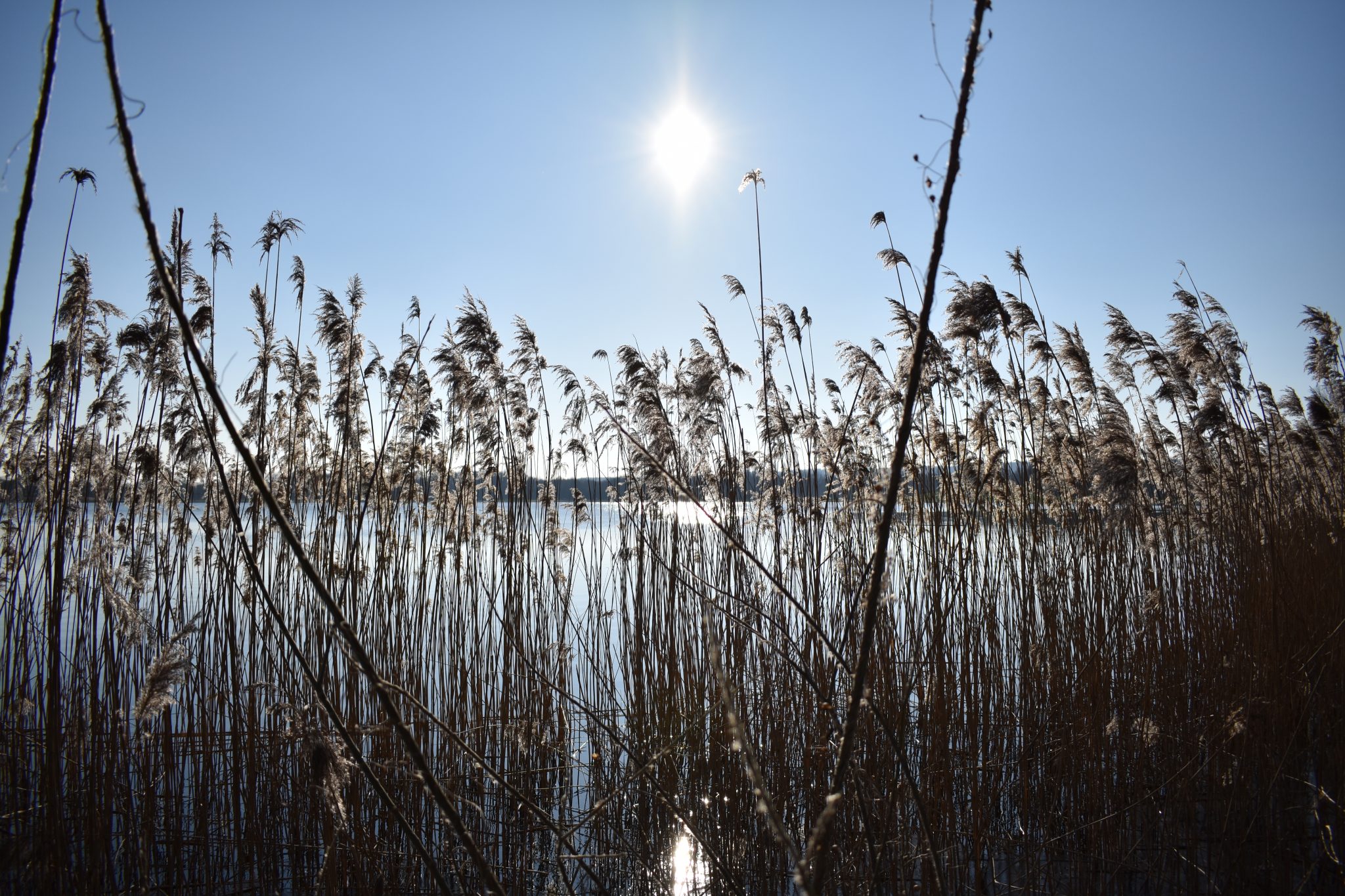 Braamtse Gat Braamt Stroombroek wandelen water natuur