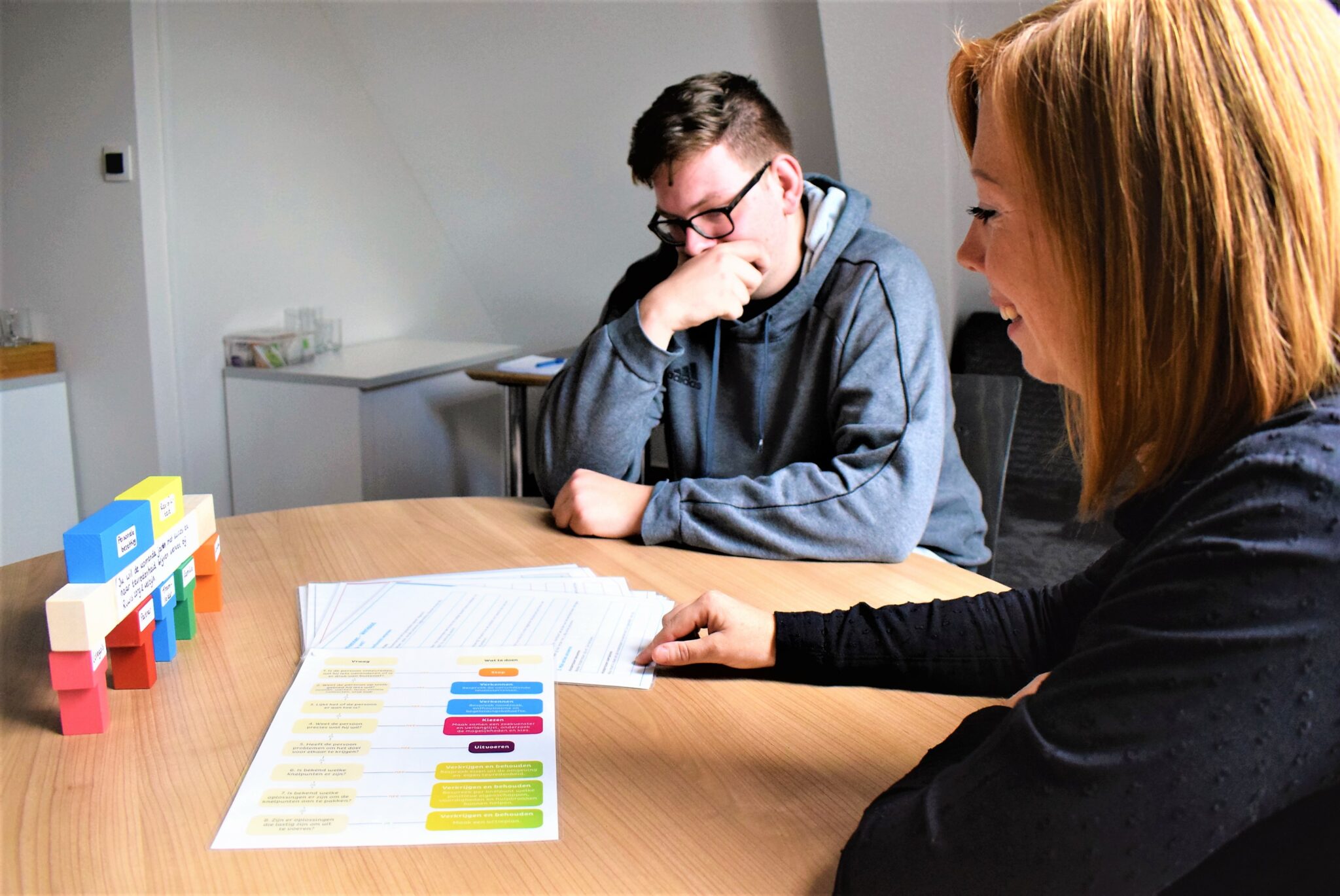 IRB Methode, Riwis Zorg