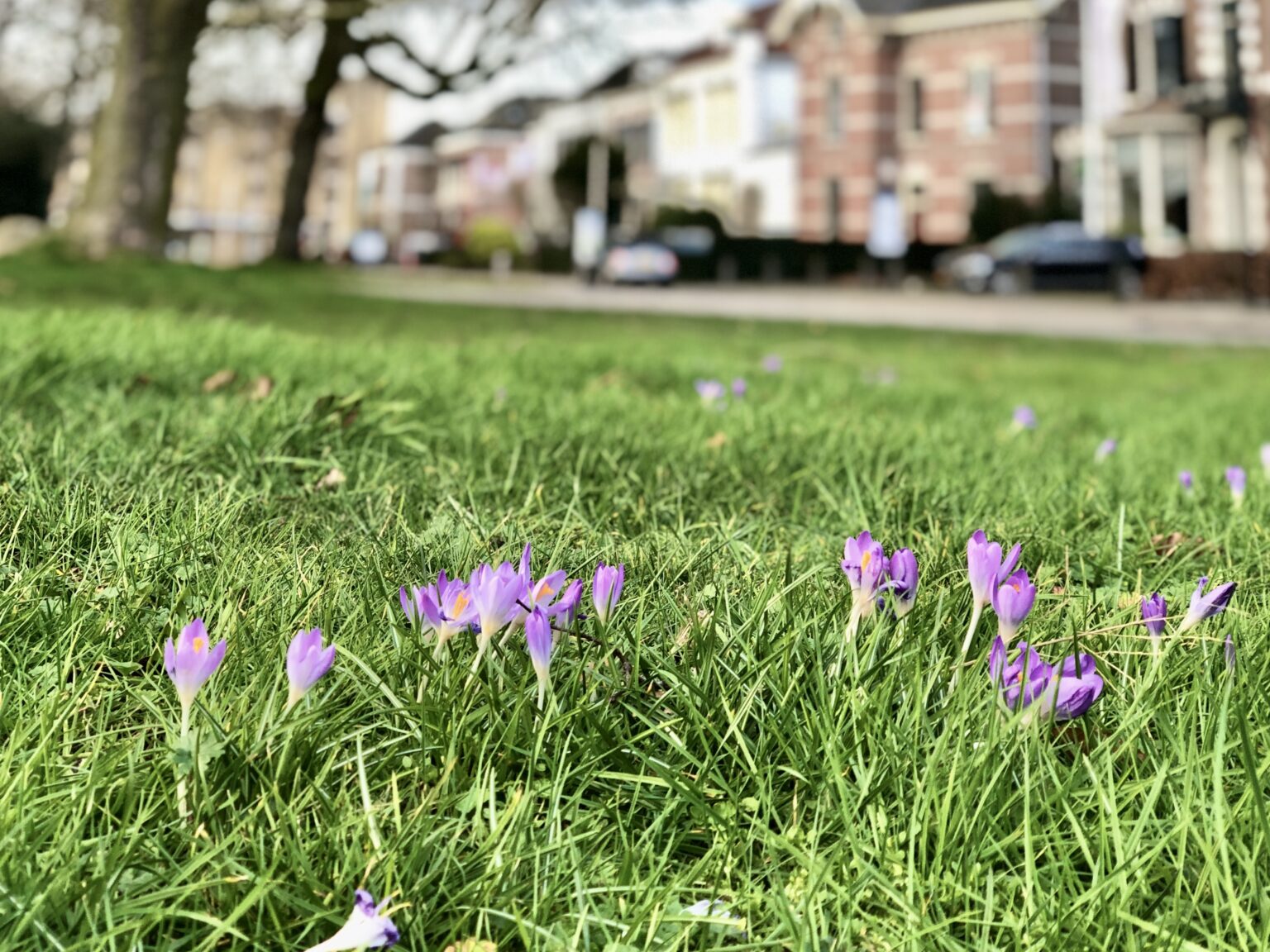 Nieuws indebuurt Doetinchem