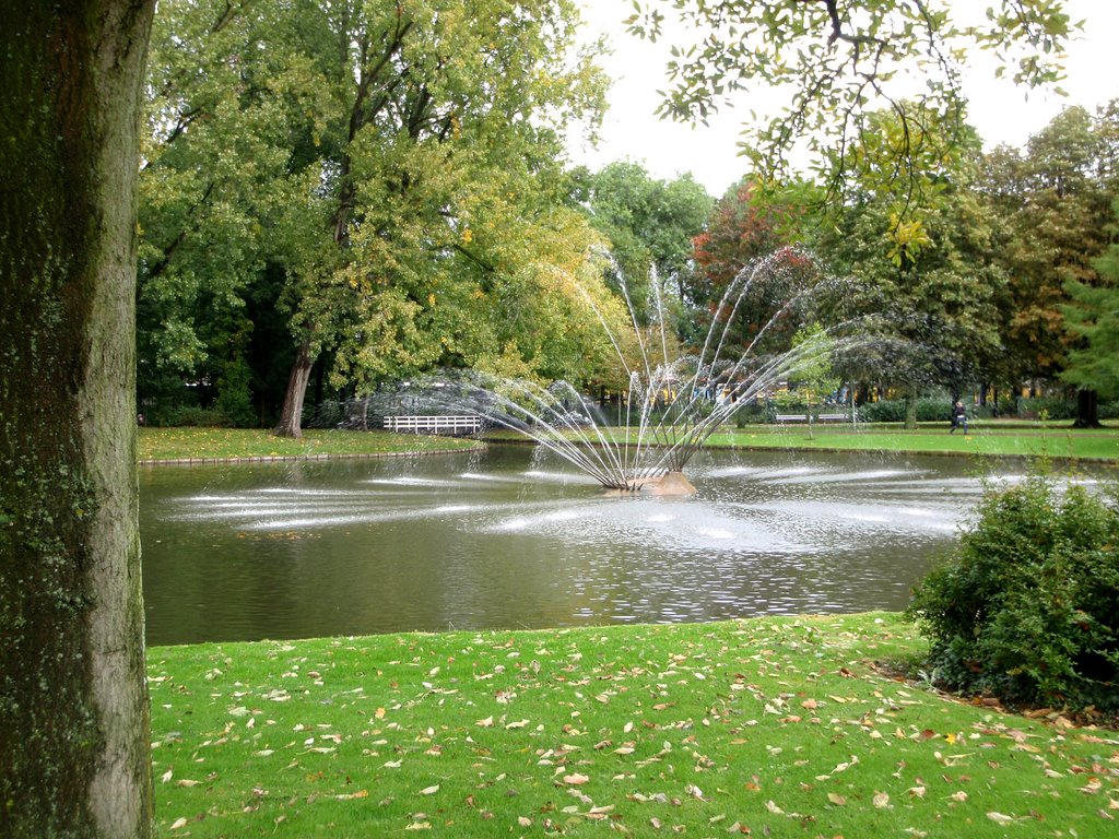 parken in Dordrecht weizigtpark