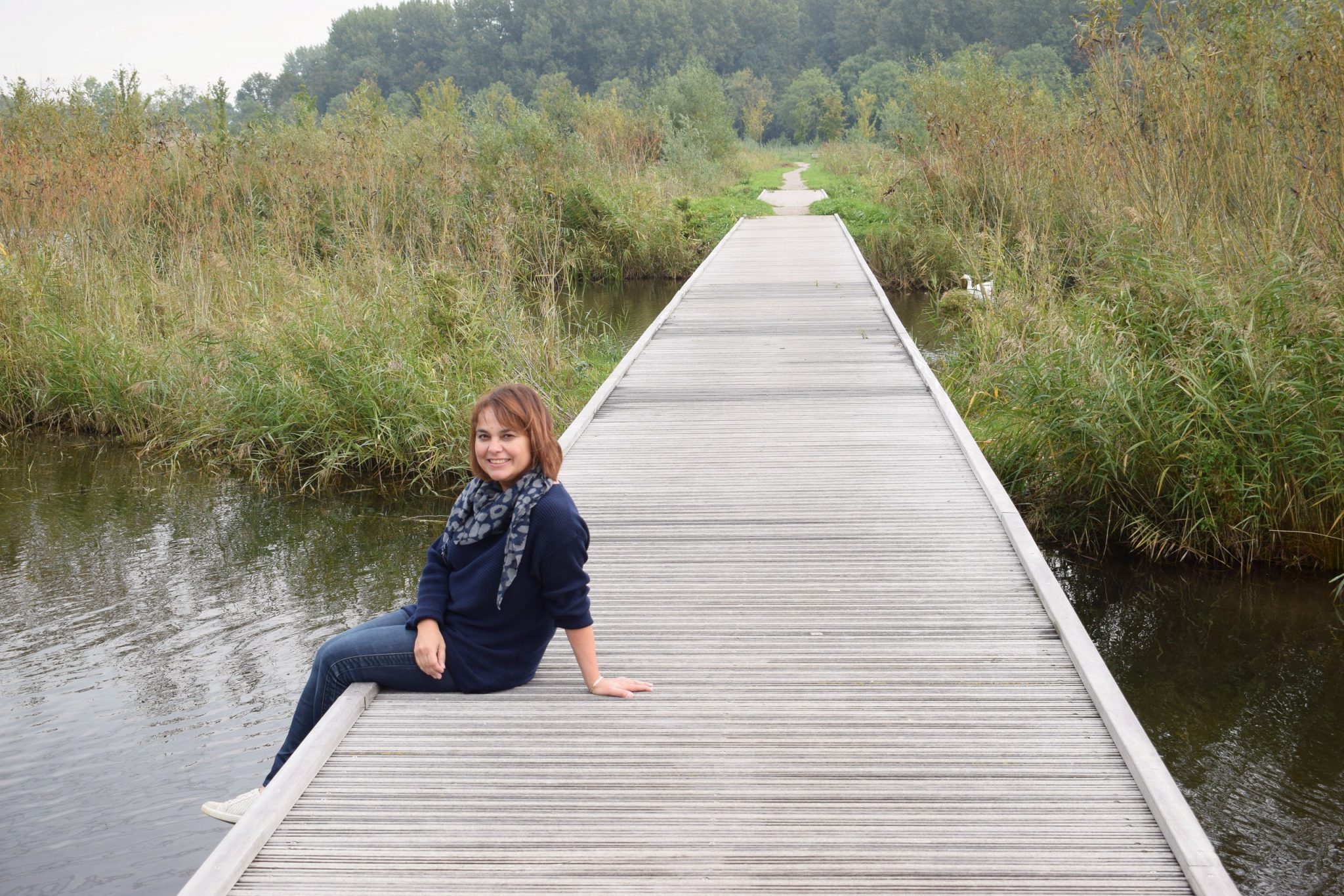 bos in de buurt van dordrecht