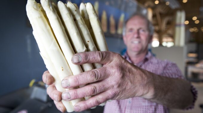 Asperges kopen Dordrecht groene witte groenteboer groentespeciaalzaak