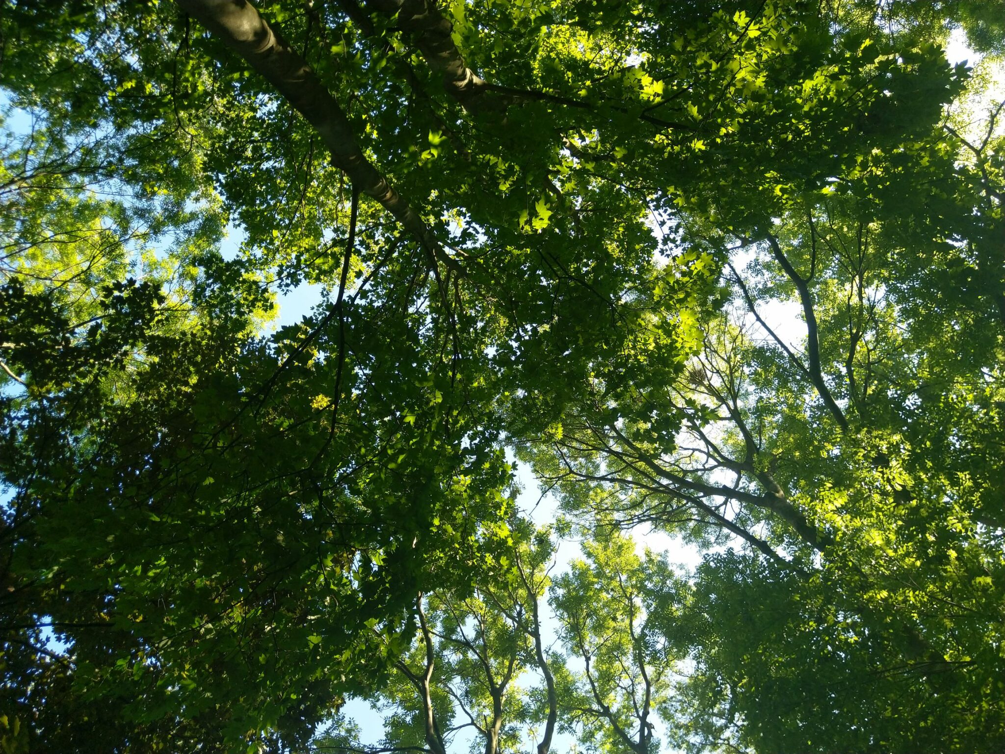 Rustenburgpark