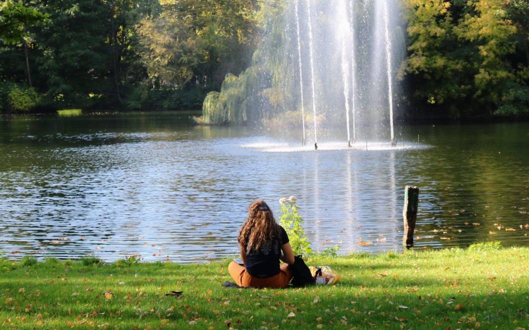 Picknicken Dordrecht picknickmand halen huren bestellen