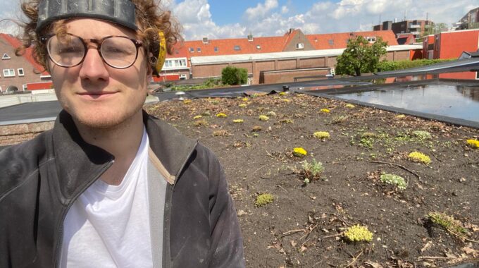 Groen dak Interpolis sedumdak aanleggen subsidie