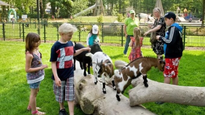 Stadsboerderij Weizigt Dordrecht