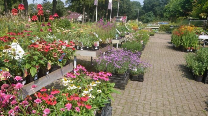 Tuincentrum De Driesprong