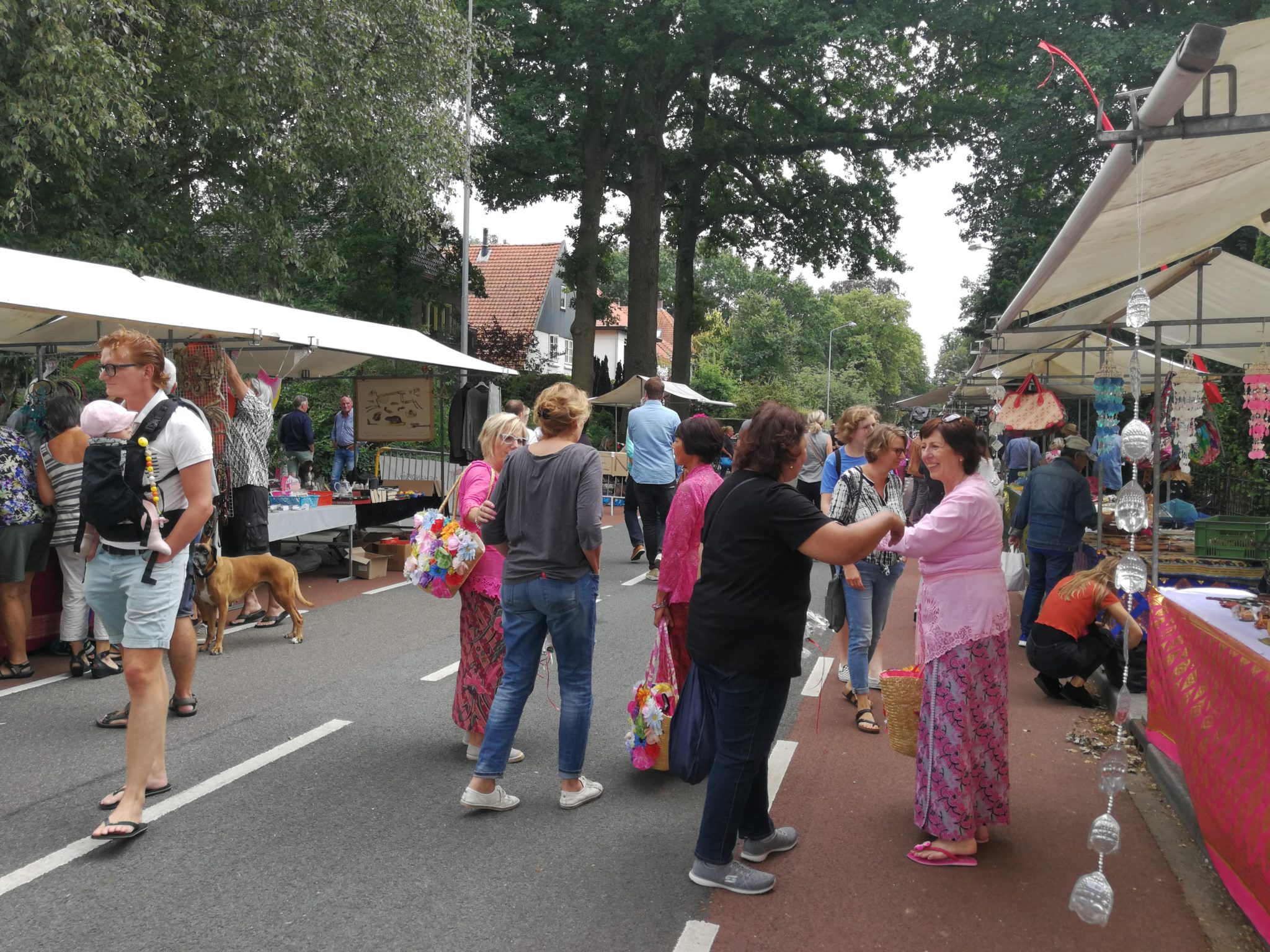 Koto Neba Heideweek 2018