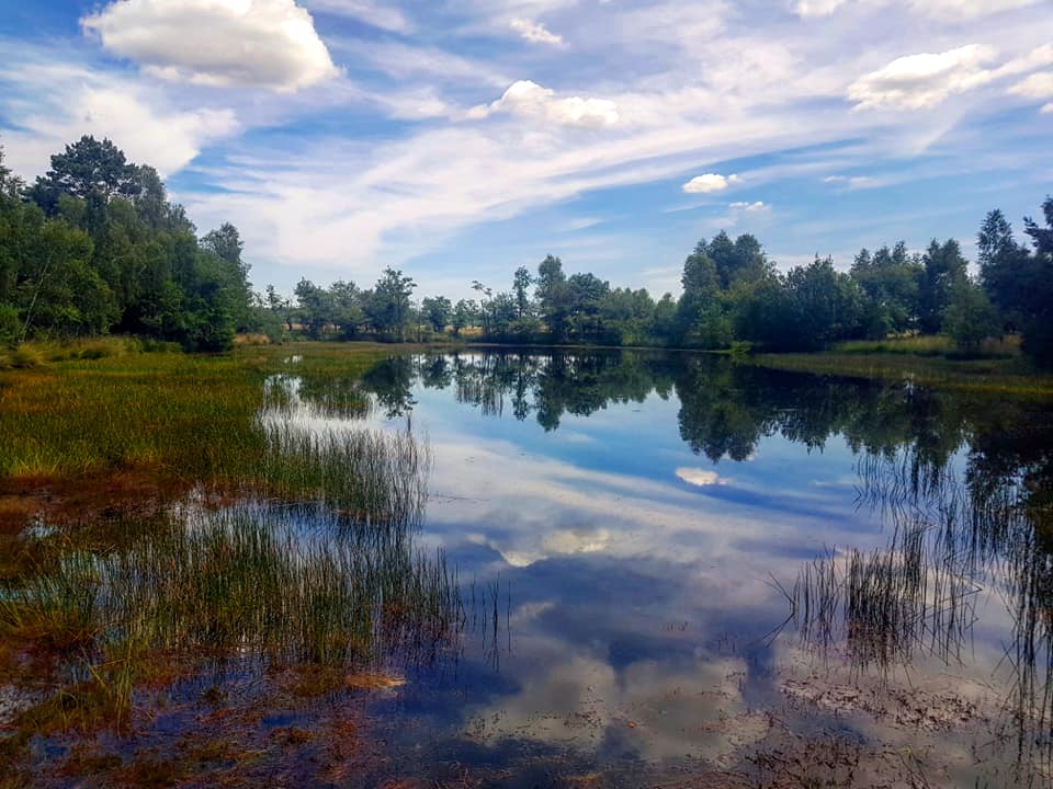 Hoge Veluwe schrapt evenementen in heel 2020 en halveert entreeprijs