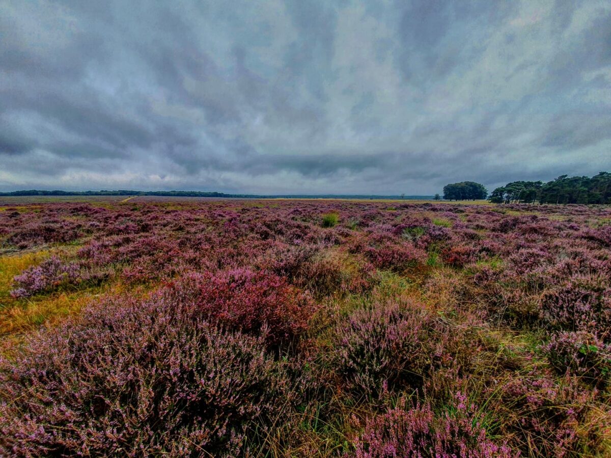 Korting op een weekendje Veluwe