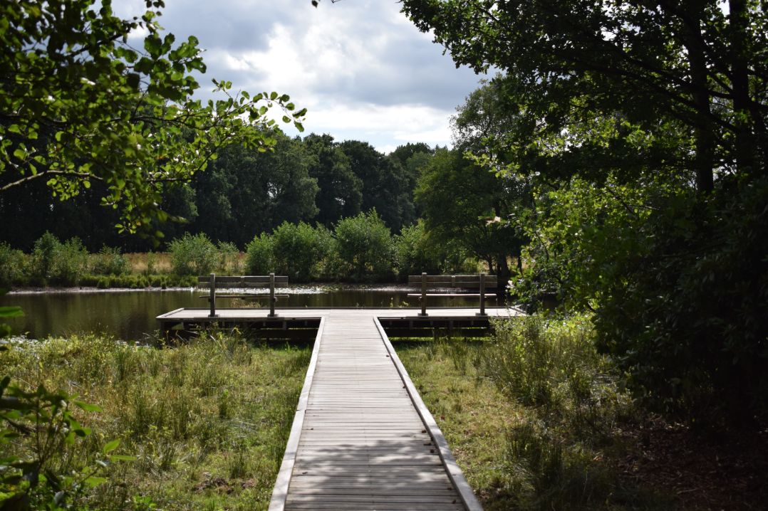 Heidebloemplas
