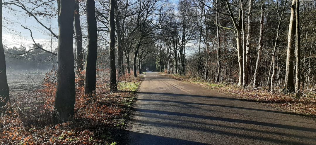 Zonneoordlaan