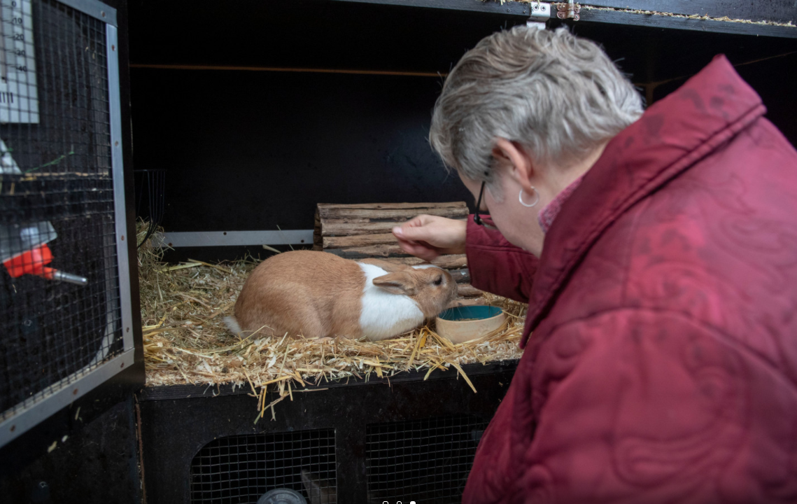 Huize Pluis