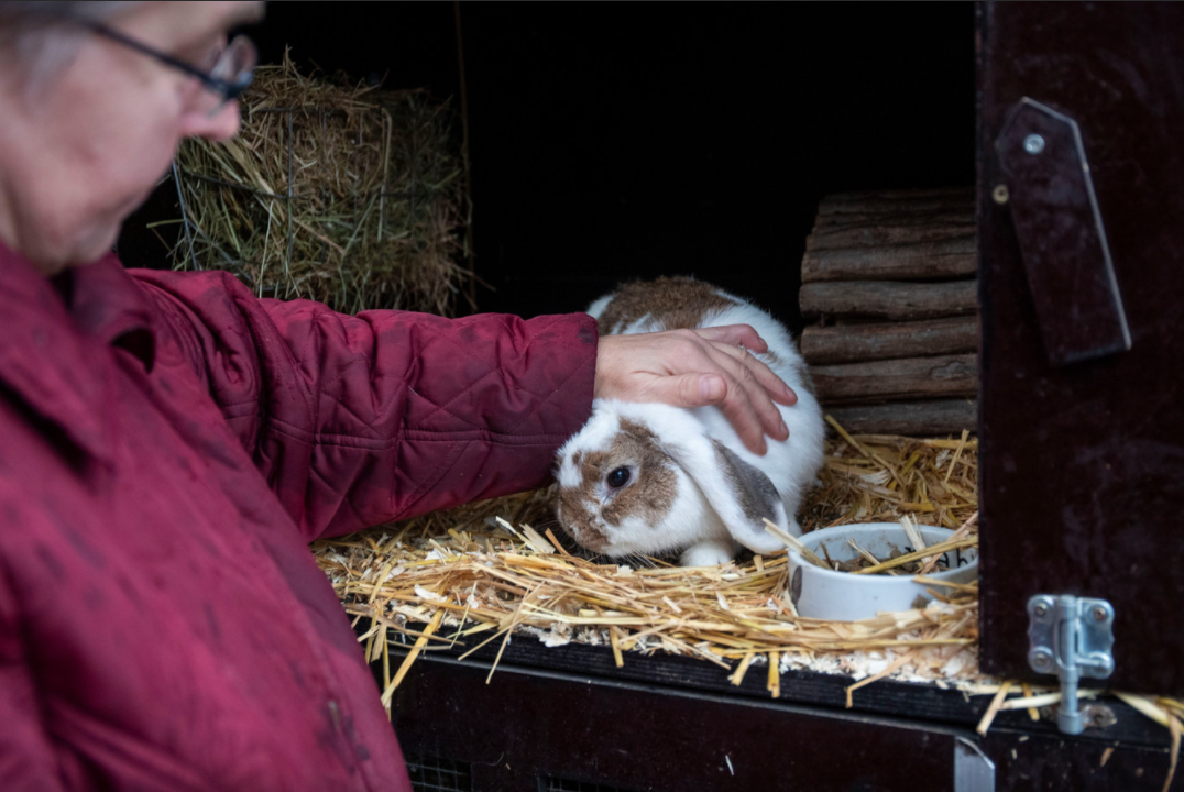 Huize Pluis