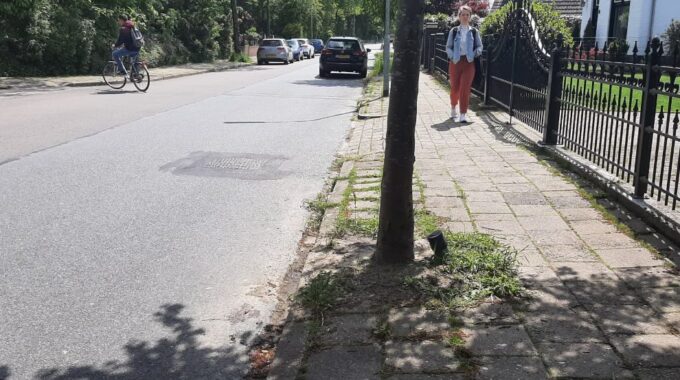 Drainage buis boom