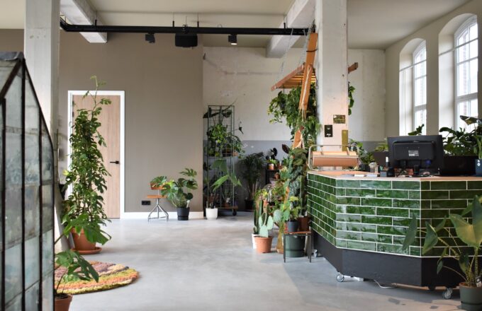 STALL Planty of Leaves