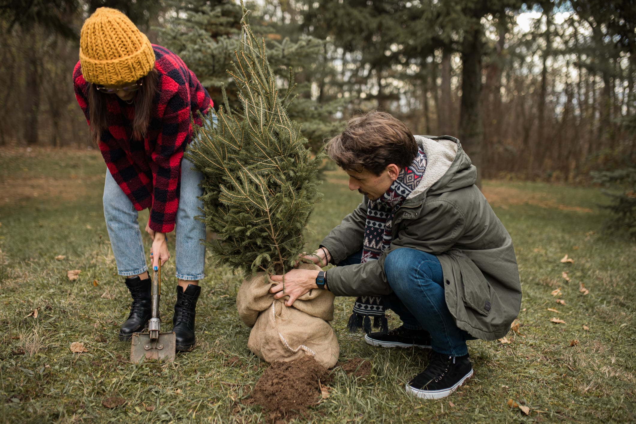 Sparen onder de spar: met deze tips maak je jouw kerst groener dan ooit