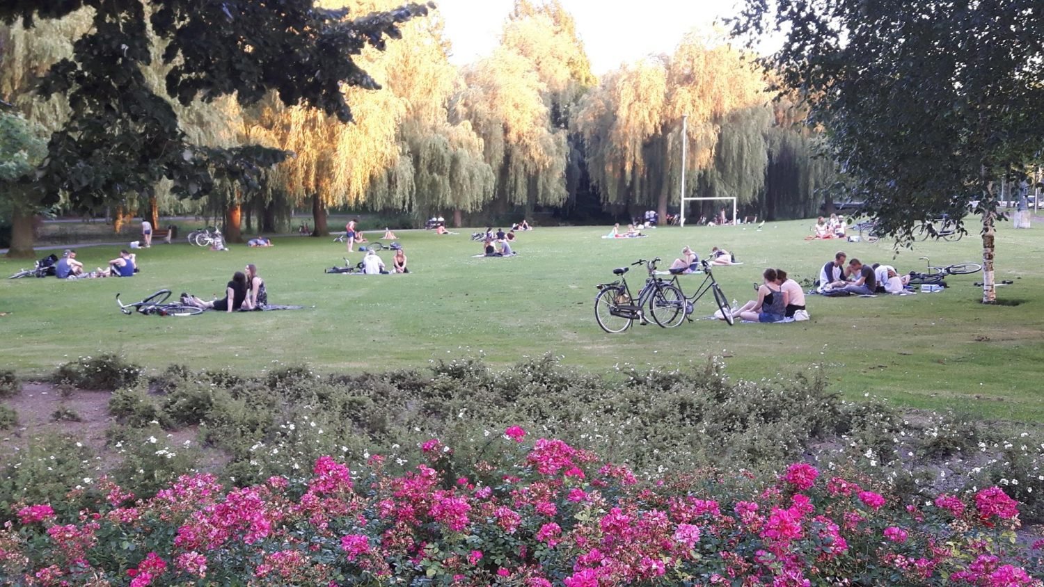 Wat zullen we eens gaan doen op Hemelvaartsdag 2017 in Eindhoven? indebuurt Eindhoven