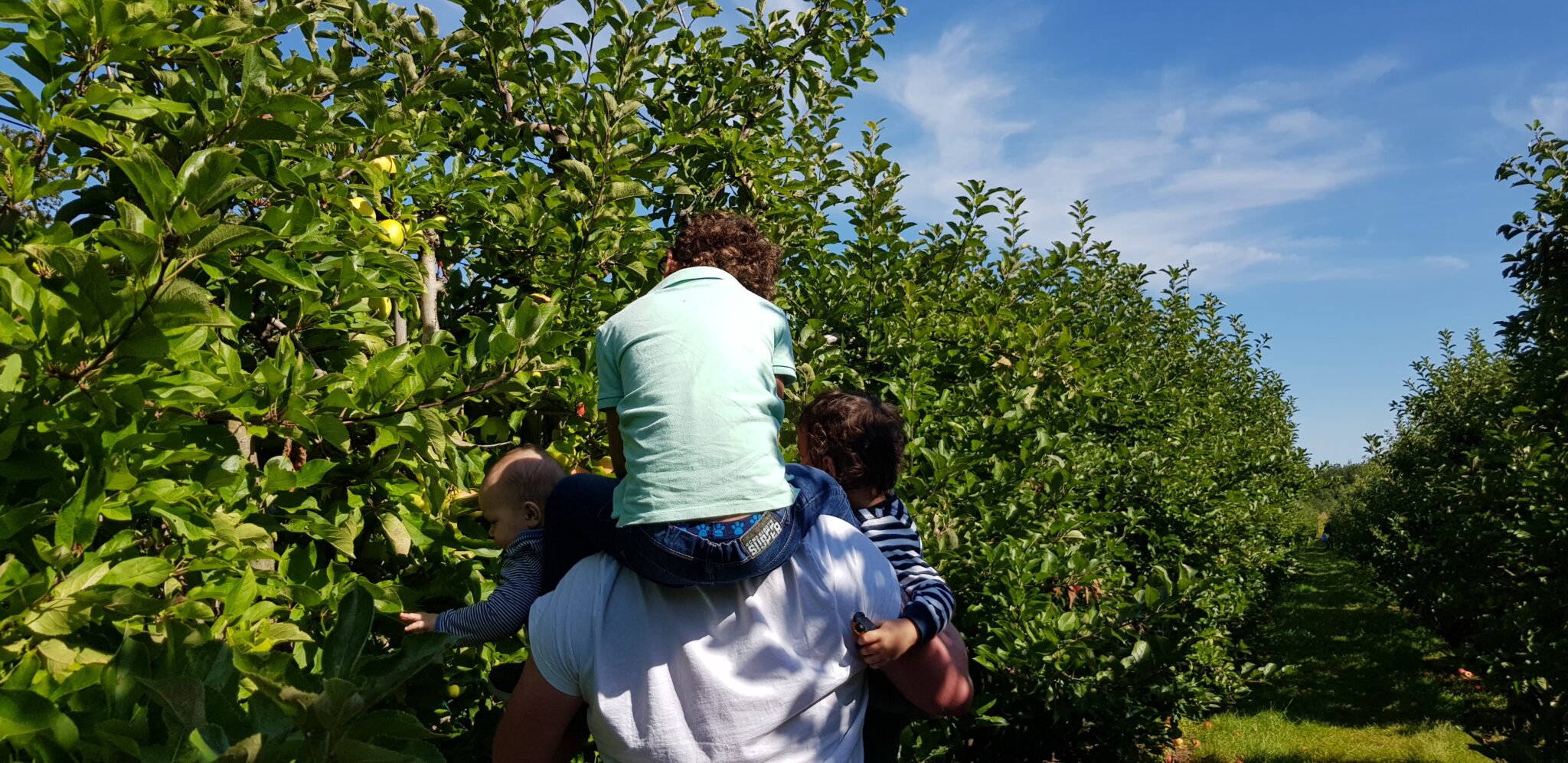 Niels - Tips voor Papa's