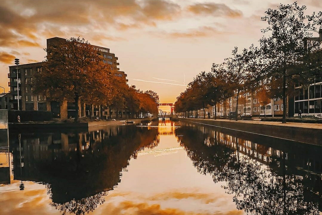 eindhoven herfst