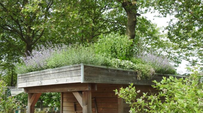 Soontiëns Tuincentrum en Hoveniers