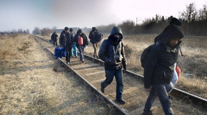 MIGRATIE