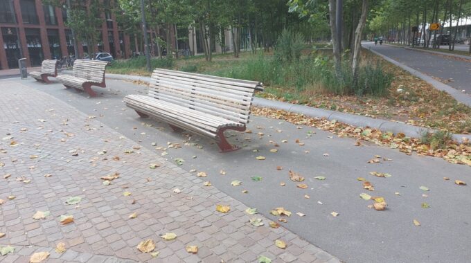 Bladeren herfst Eindhoven
