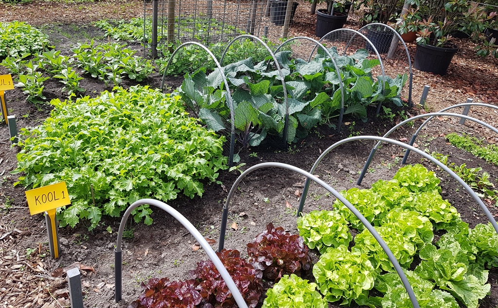 Soontiëns Tuincentrum en Hoveniers