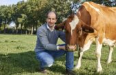 Boer Guus is trots op zijn koeien | Foto via Mijn Melk