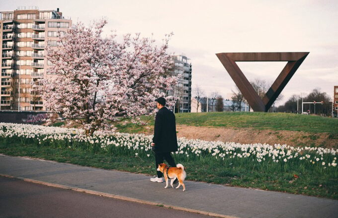 Pasen Eindhoven bloesem