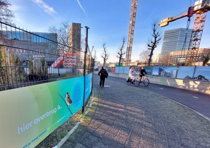 Huismussentuin Eindhoven