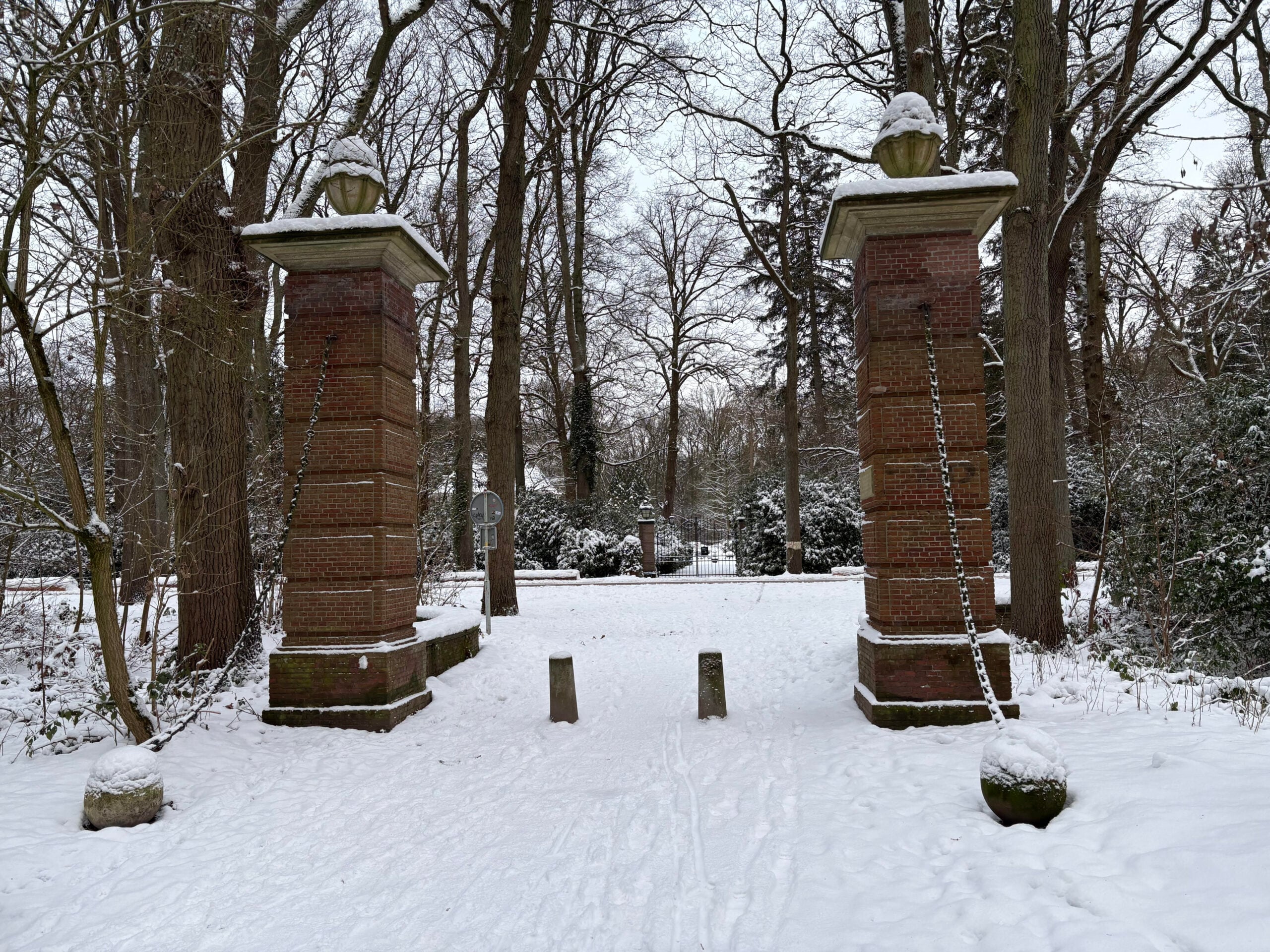 Ontdek de favorieten van Lisa, een winterwandeling in beeld en meer nieuwtjes van afgelopen week