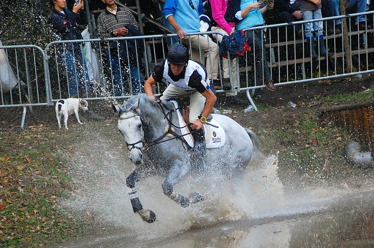 Het programma van de Military Boekelo Enschede