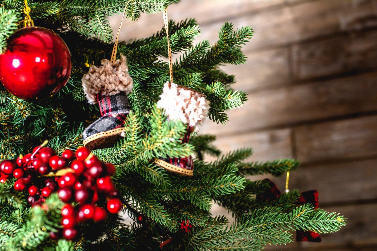 kerstboom