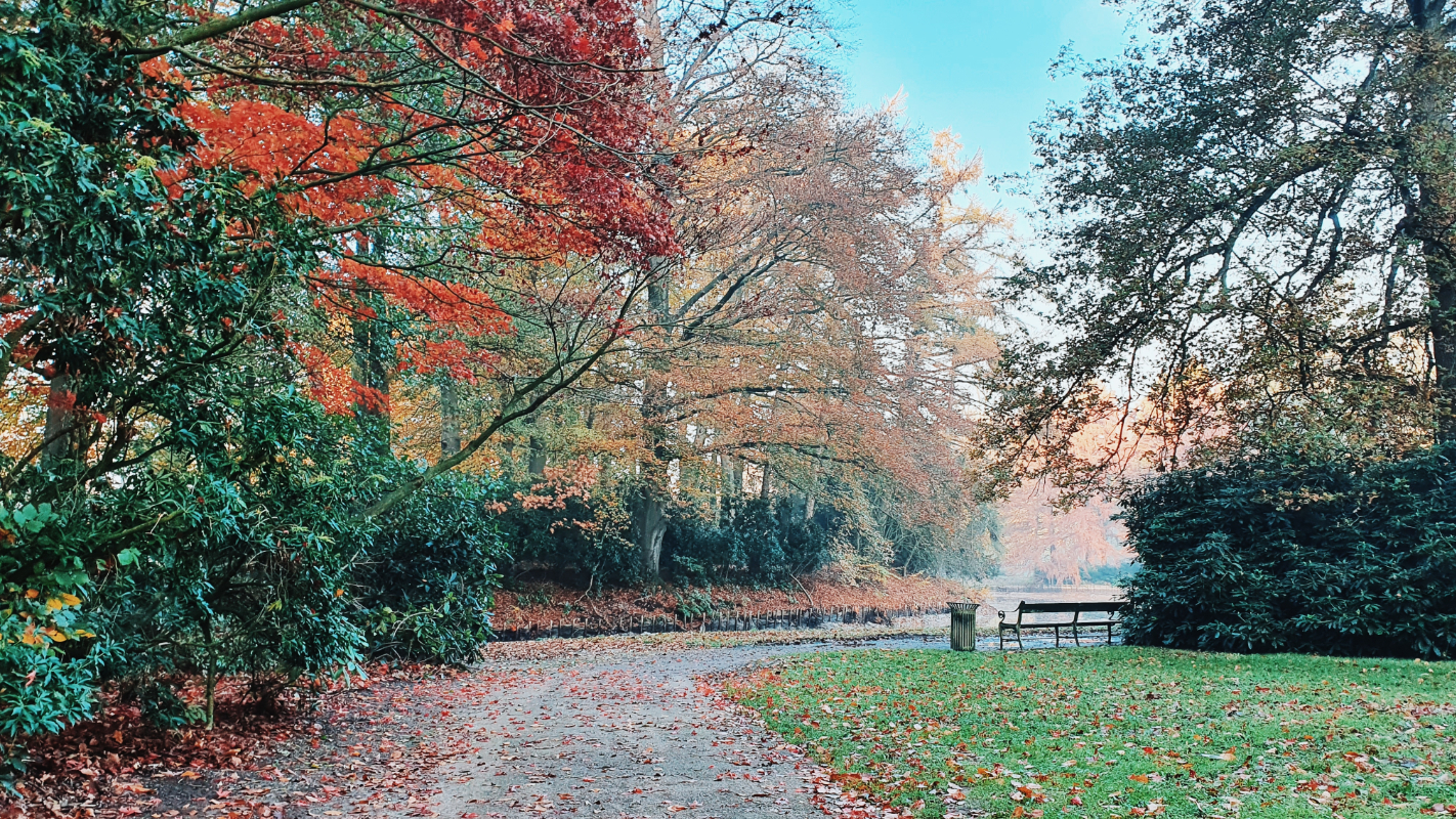 herfstfoto Enschede