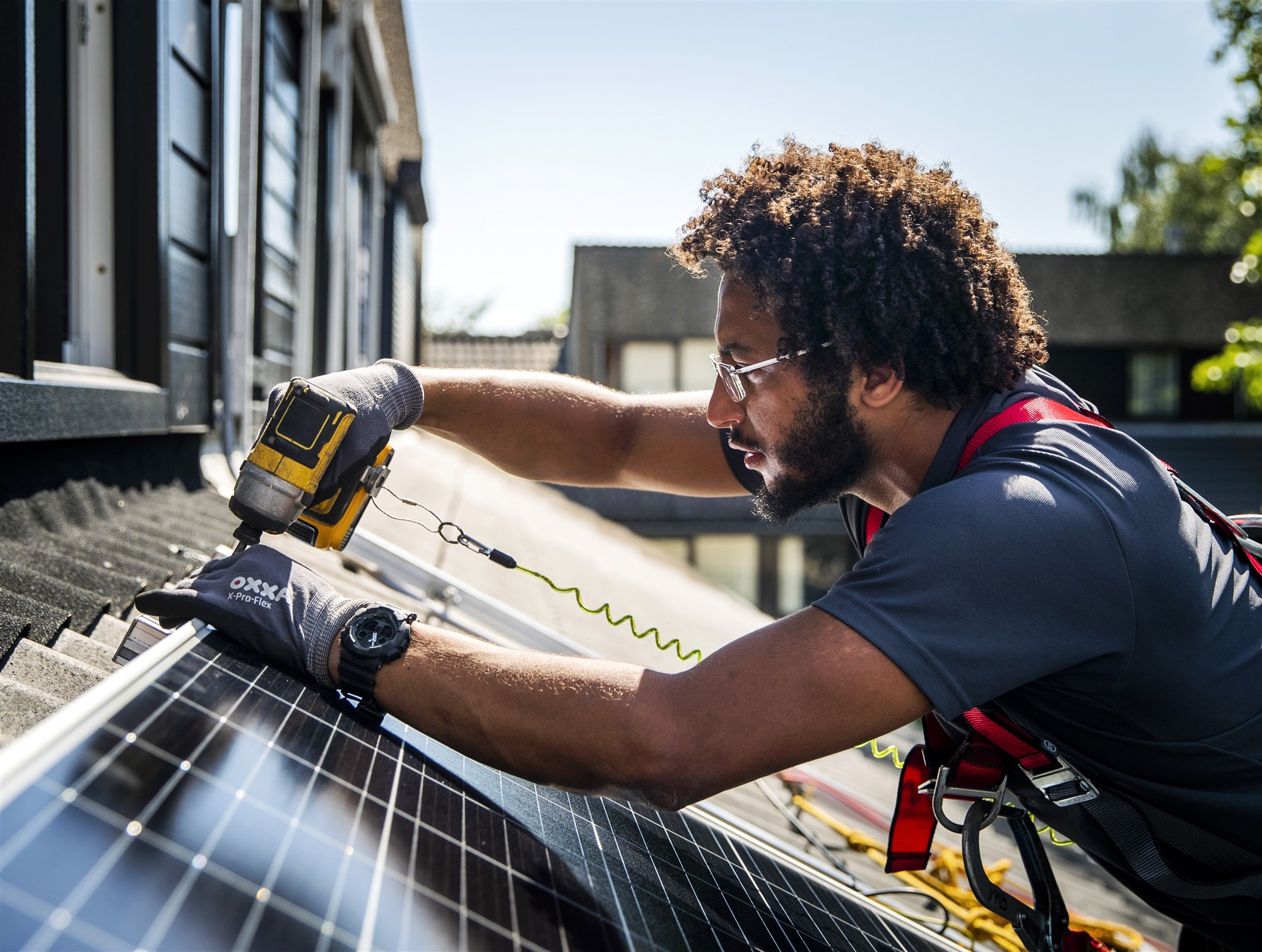 zonnepanelen_ANP-415382539