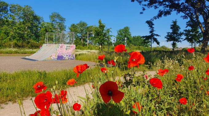 bloemen enschede