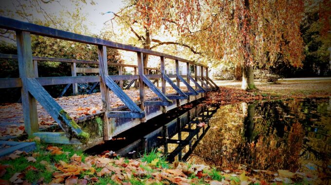 herfst van heekpark