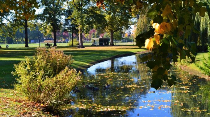 herfst in enschede