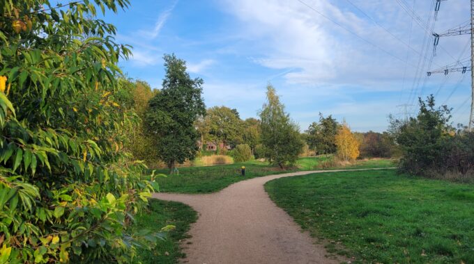 herfst enschede zweringbeekpark_1