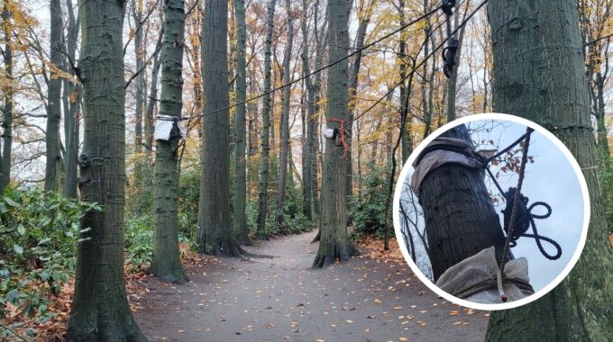 touwen houten balken abraham ledeboerpark