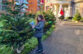 kerstbomen gratis knuffels enschede