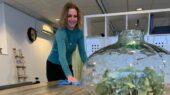 Thuiszorg Eanske in Enschede biedt huishoudelijk medewerkers gratis fysiotherapie aan via praktijk On The Move